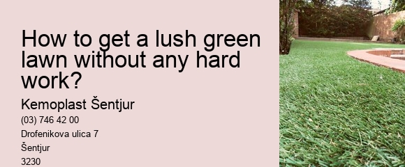 How to get a lush green lawn without any hard work?